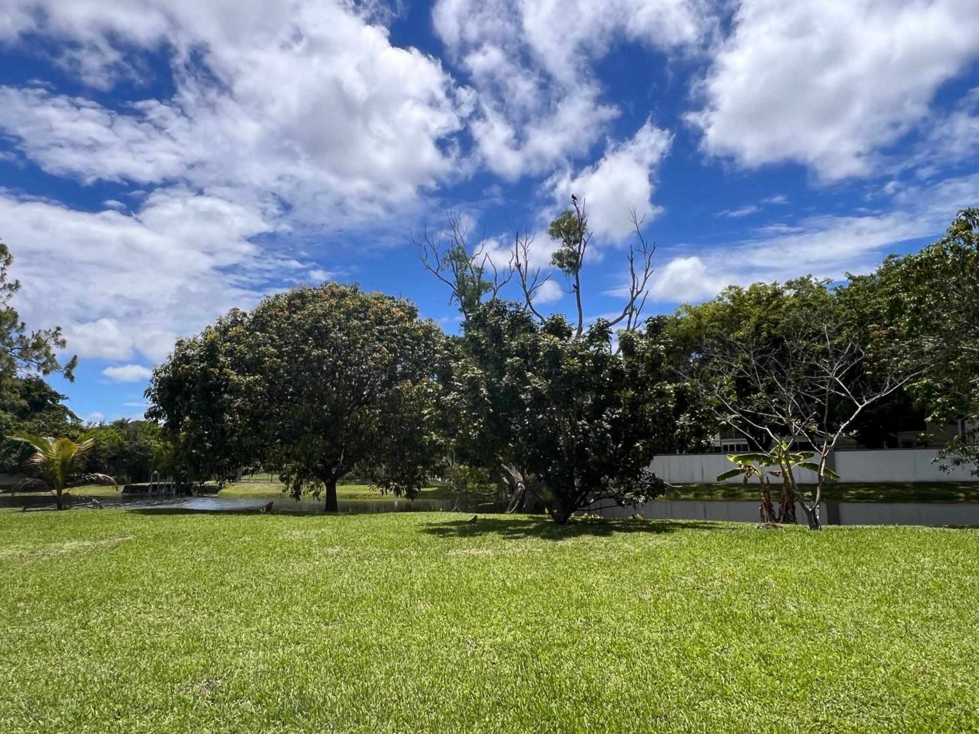 Coconut Entire Single Family Home 3 Bed 2 Bath In Water Front Big Cozy Back Yard View מראה חיצוני תמונה